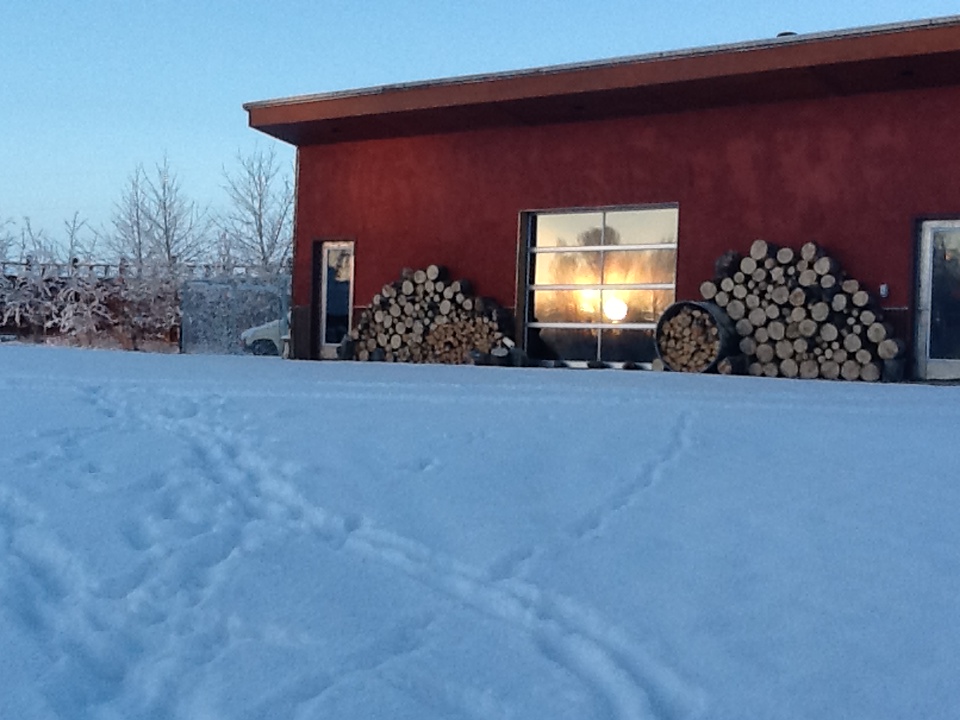 Good winter morning!