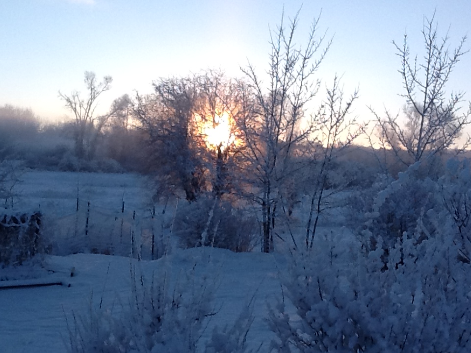 Winter morning video — 12 degrees warm…