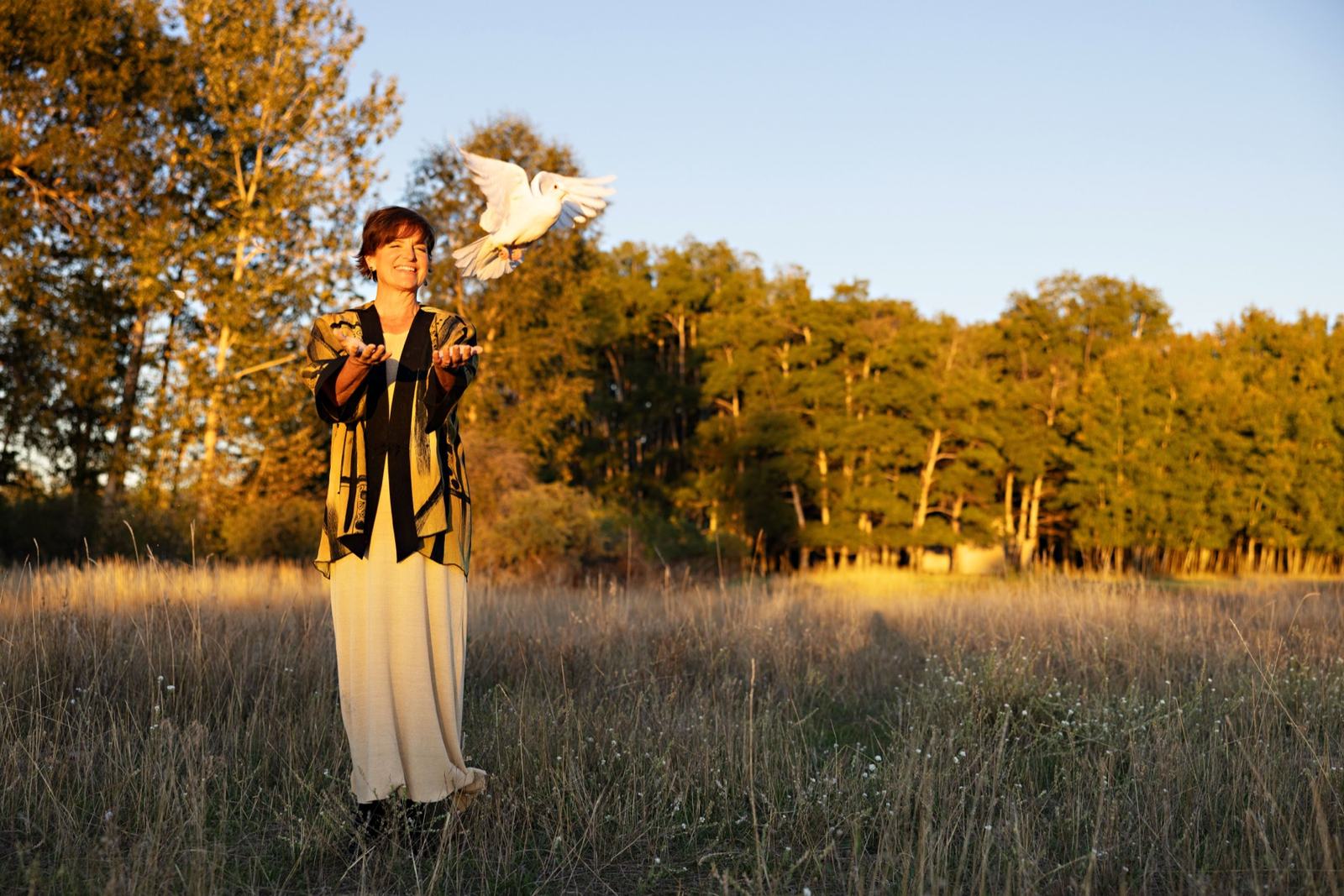 Lorca in ceremony dress releasing a white dove from open hands, golden evening meadow behind her