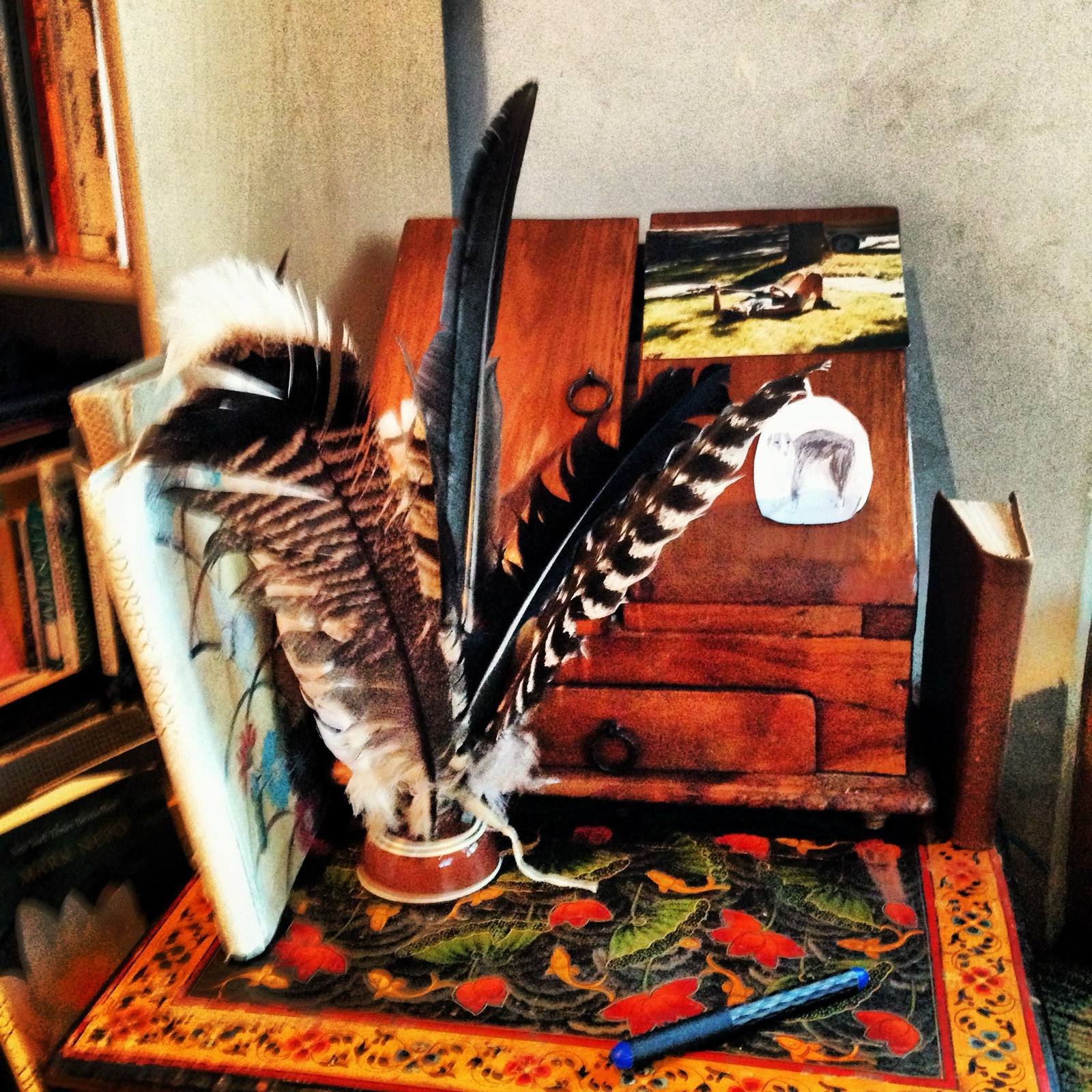 Feathers gathered in an inkwell on Lorca's writing desk