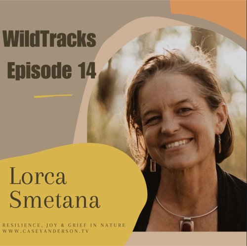 WildTracks podcast art