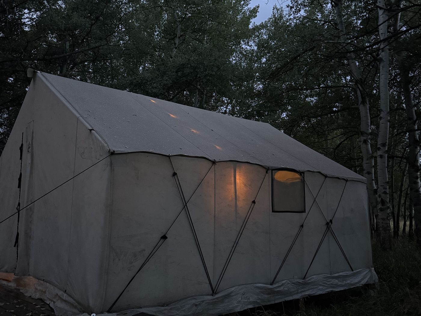 A white canvas wall tent lit warmly from inside at dusk, standing in a clearing among aspens